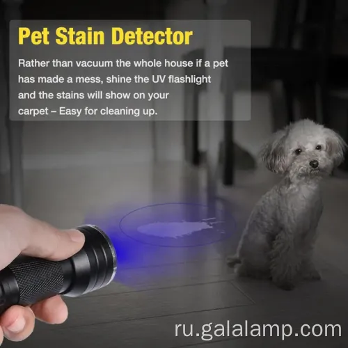 Портативный портативный факел для удаления пятен мочи собаки